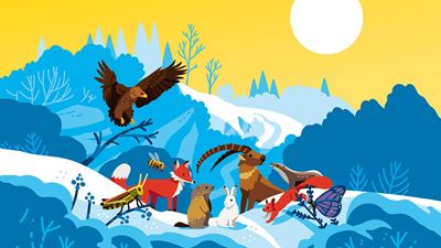 Wandern Winter Visual