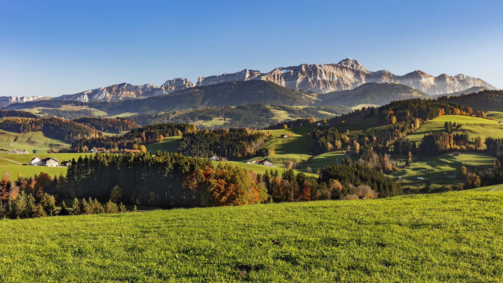 La ligne d’Appenzell mène de Herisau à Saint-Gall via Hundwil et Stein AR, à travers les paysages intemporels du pays d’Appenzell.