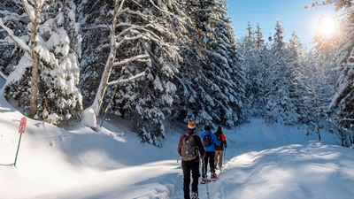 Snowshoeing in the forests of Charmey