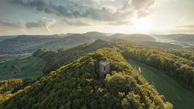 View of the Cheisacher tower in the middle of a forest landscape in the Argovia Jurapark.
