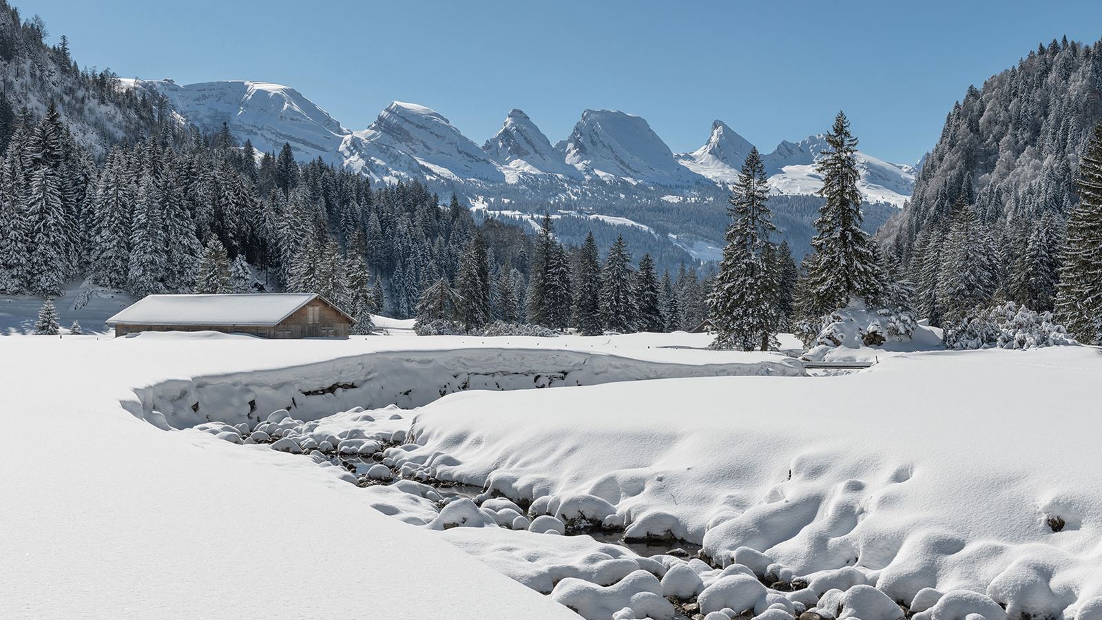 Atmosfera invernale del Laui nell’Obertoggenburg con vista sui Churfirsten © Toggenburg Tourismus
