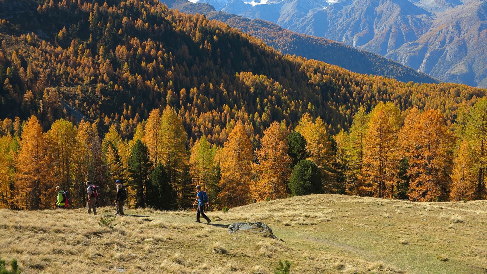 Höhenweg Giw – Gspon