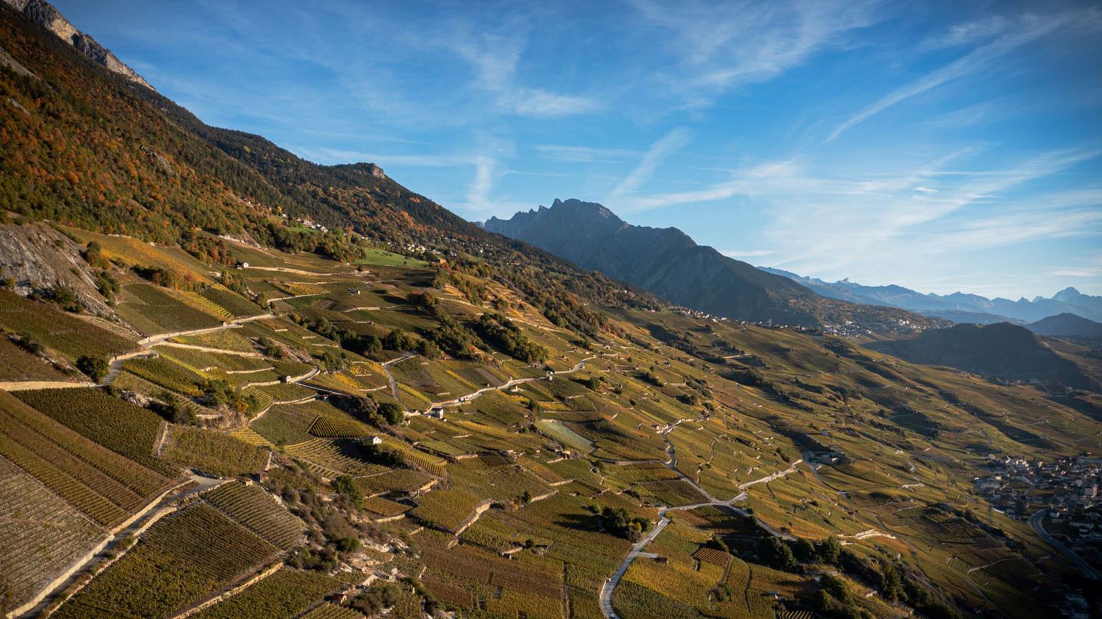 Sentier viticole des Coteaux du Soleil - ©Guanzini Photographie