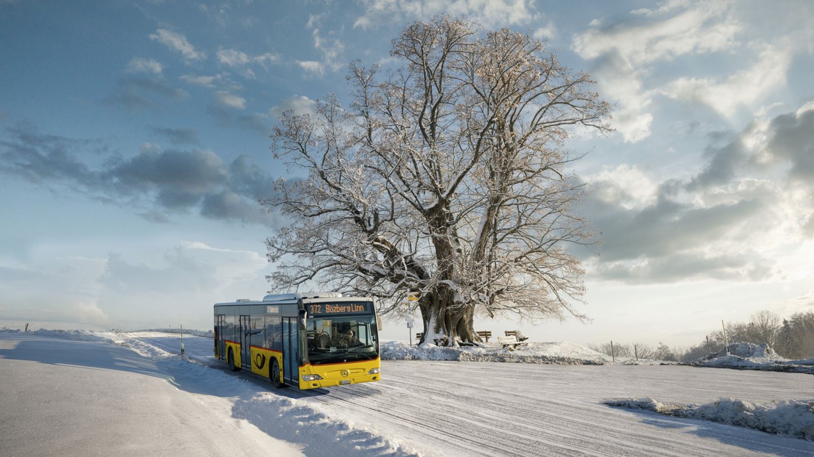 Postbus against a snow-covered lime tree