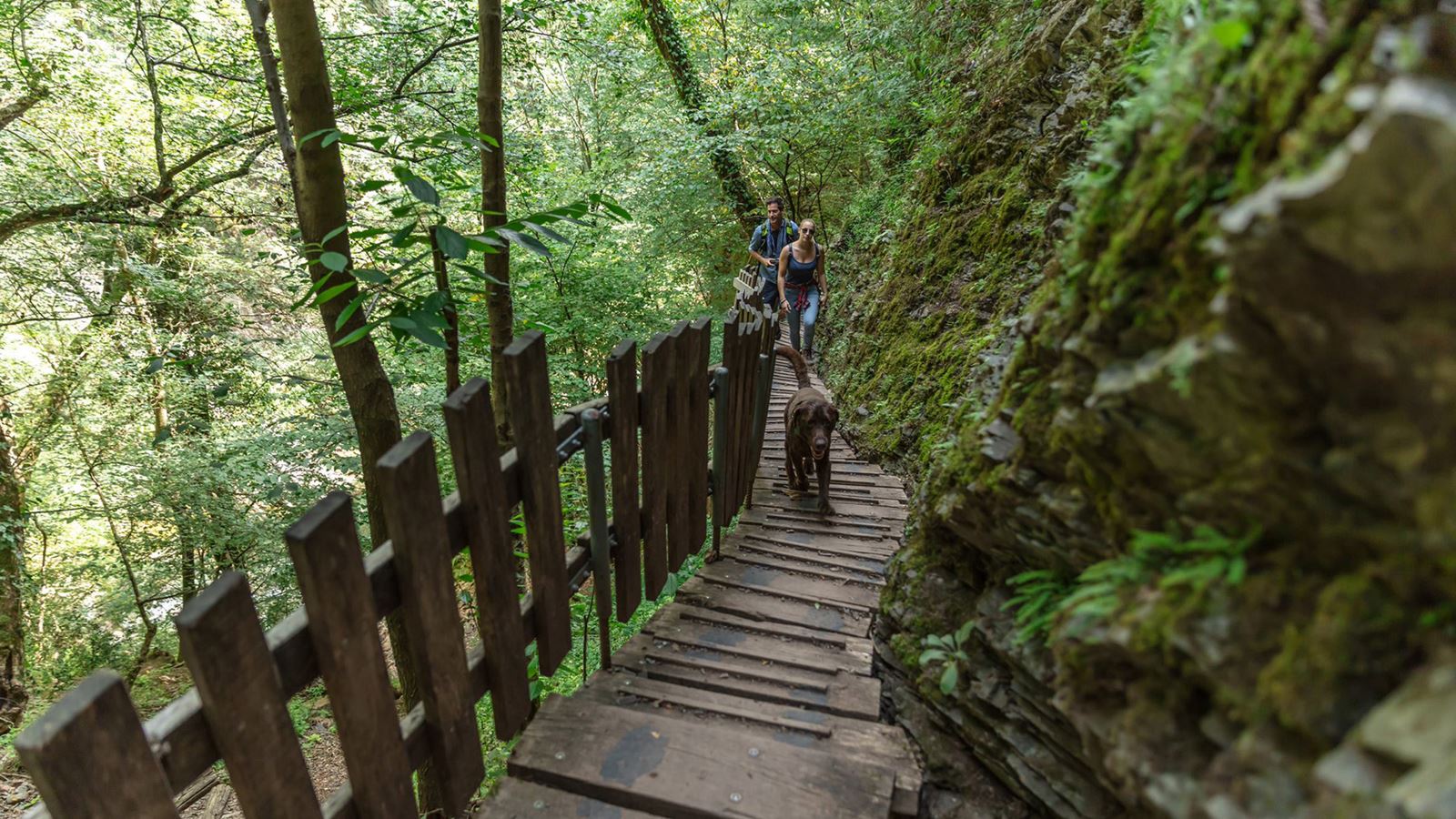 Zwei Personen wandern auf einem Weg im Park der Breggia-Schluchten. © Ticino Turismo, Alessio Pizzicannella