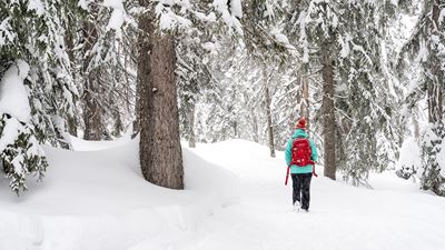 Person hiking through the forest during winter