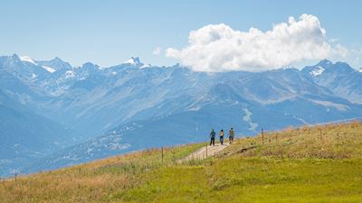 Hikers on the Tour des Alpages hiking trail in Anzère