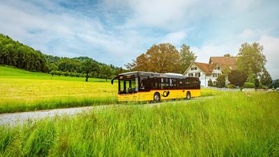 Ein gelbes Postauto fährt entlang grüner Wiesen am Hüttnersee vorbei.