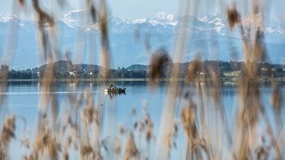 Vue sur le lac de Pfäffikon et les montagnes depuis le circuit du lac de Pfäffikon.
