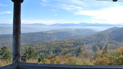 Vue sur la forêt Sihlwald et les Alpes depuis la tour Albis-Hochwacht.