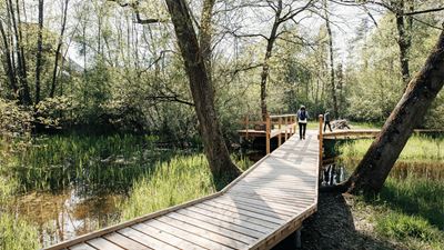 Passerelle en bois au Centre nature Thurauen sur le sentier de randonnée «Via Natura».