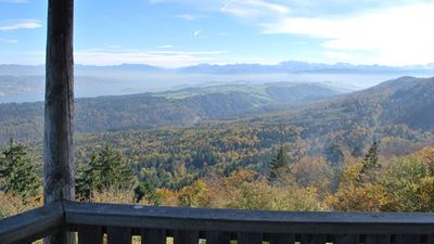 Vue sur les paysages de forêts depuis la tour d’Albis-Hochwacht