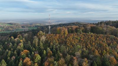 Vue sur la Tour d’Irchel et la forêt d’automne haute en couleur durant la randonnée de Pfungen autour de l’Irchel