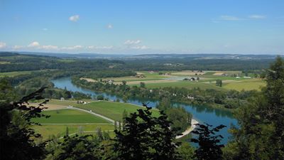 Vue sur le Rhin et le paysage verdoyant durant la randonnée qui mène de Tössegg à la forteresse d’Ebersberg