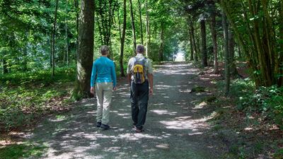 Una donna con un pullover blu e pantaloni chiari e un uomo con pantaloni neri e zaino fanno escursionismo attraverso un bosco ombreggiato.