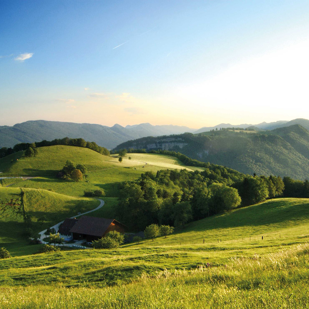 Aussicht von der Anhöhe Beretenchopf im Naturpark Thal auf eine grüne hügelige Landschaft mit Bäumen.