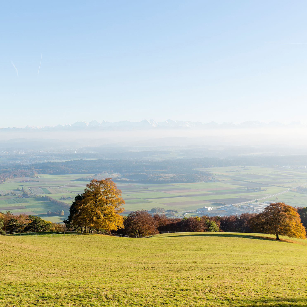 Vue depuis la Roggenflue dans le Jura soleurois sur un paysage verdoyant et boisé.