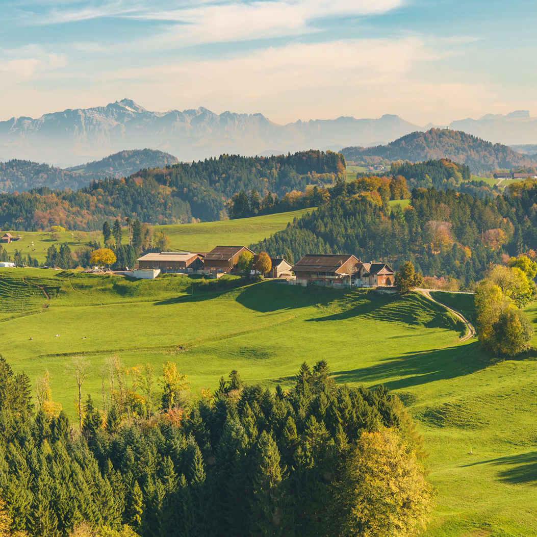 Aussicht von Sternenberg auf eine grüne Landschaft mit Bäumen und die Alpen.