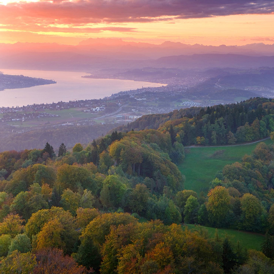 Aussicht vom Uetliberg bei Sonnenuntergang auf eine Landschaft mit Bäumen und den Zürichsee.