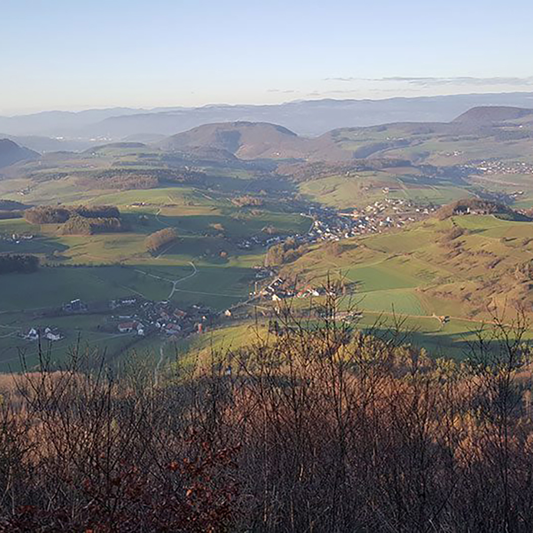Aussicht vom Zeiher Homberg im Jurapark Aargau auf eine grüne hügelige Landschaft.