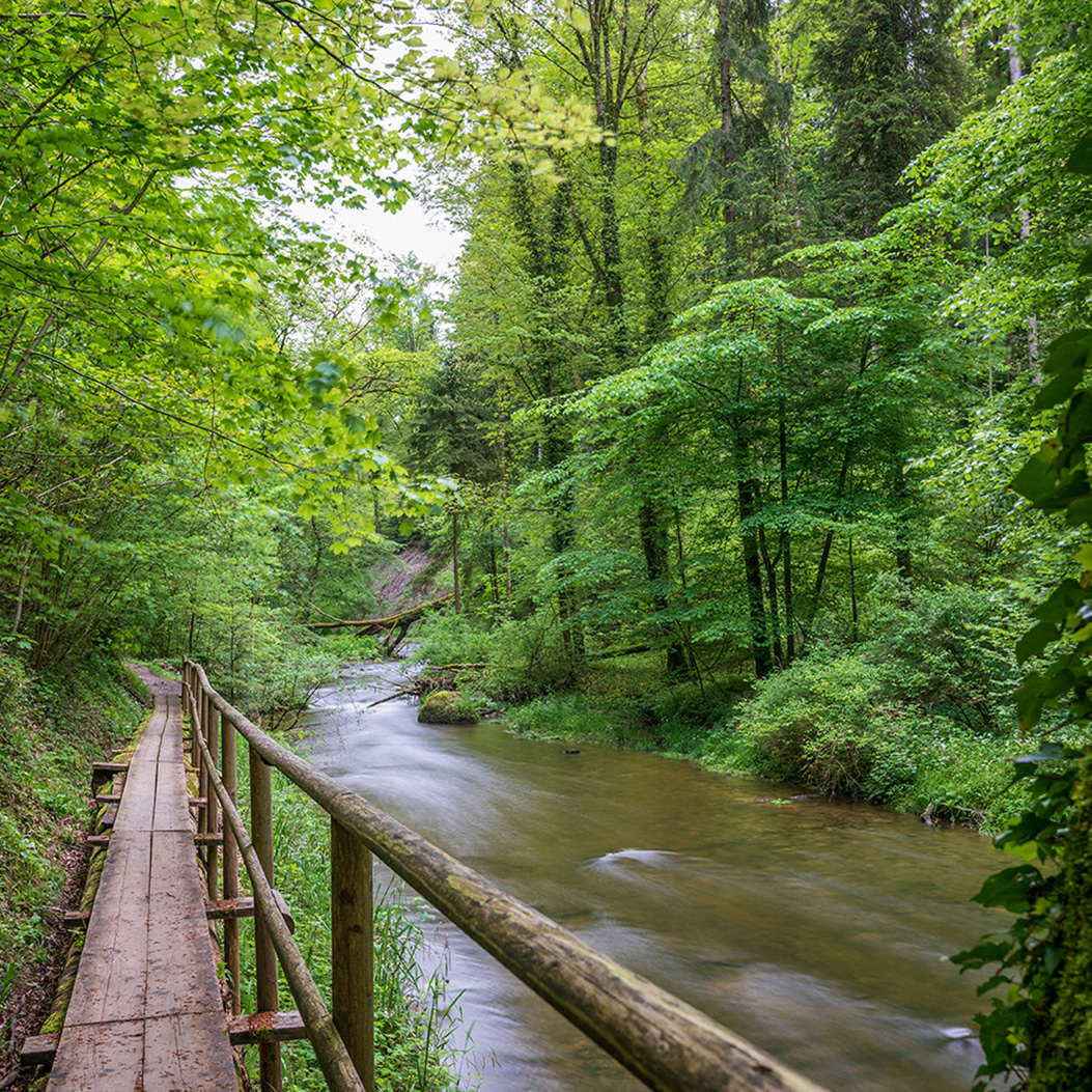 Kleine Holzbrücke im Wald im Jonental neben dem Jonenbach.