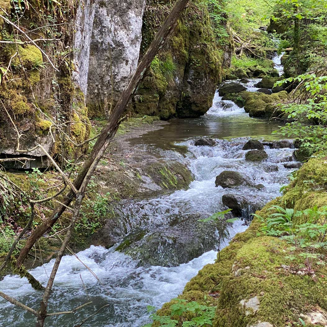 Ein kleiner Holzsteg führt in der Chälengrabenschlucht über den Bach. © Forum Schwarzbubenland