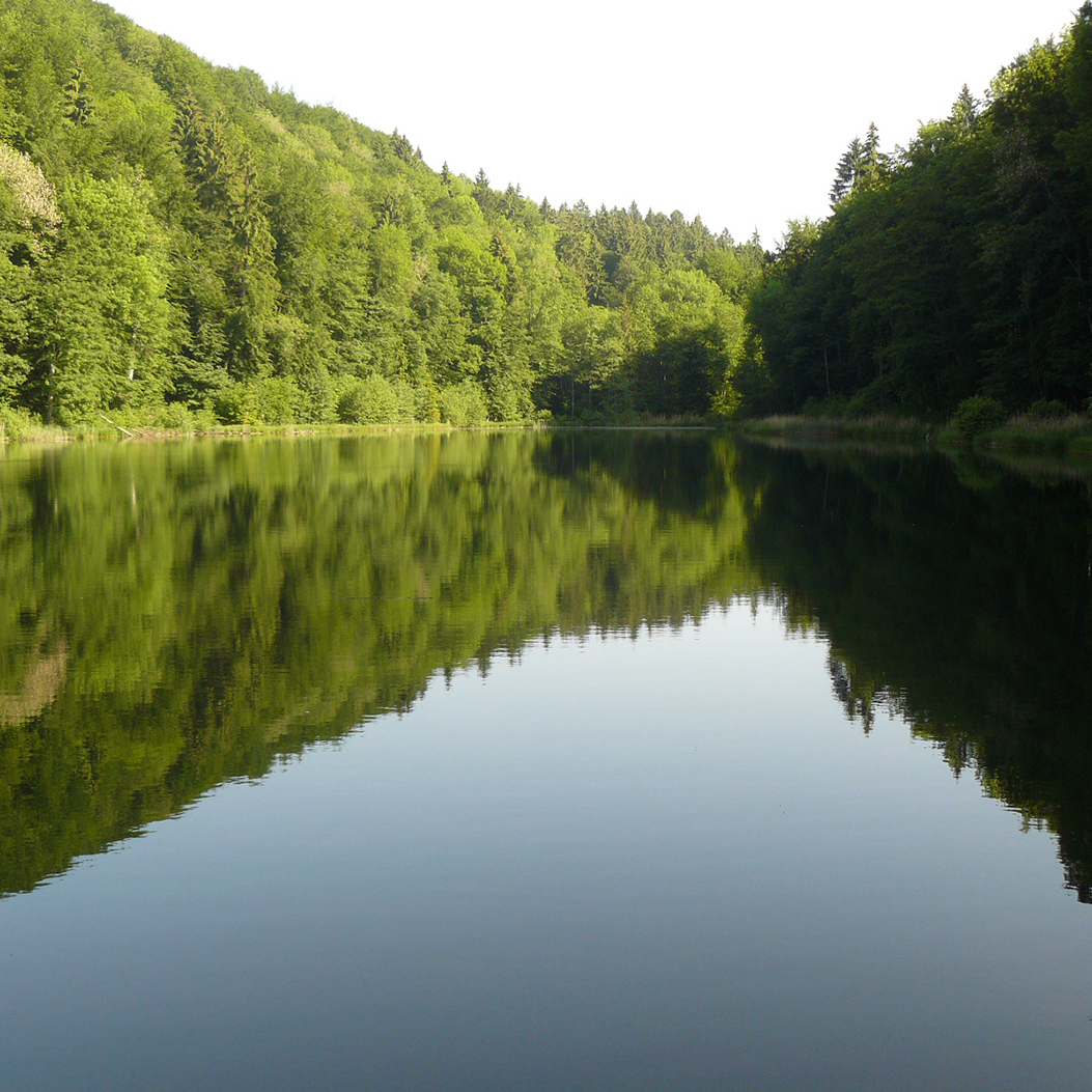 Les eaux miroitantes du lac Egel et sa forêt verdoyante.