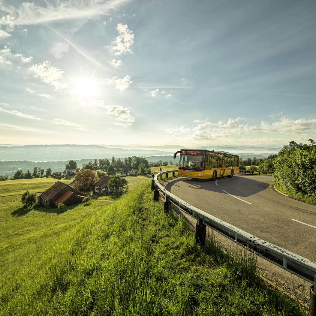 Attraverso il passo dell’Albis