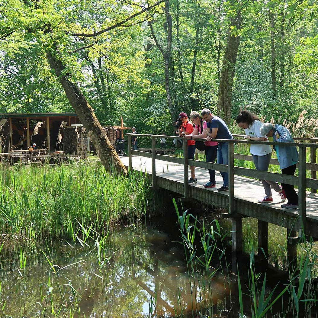 Besucher und Besucherinnen auf dem Erlebnispark