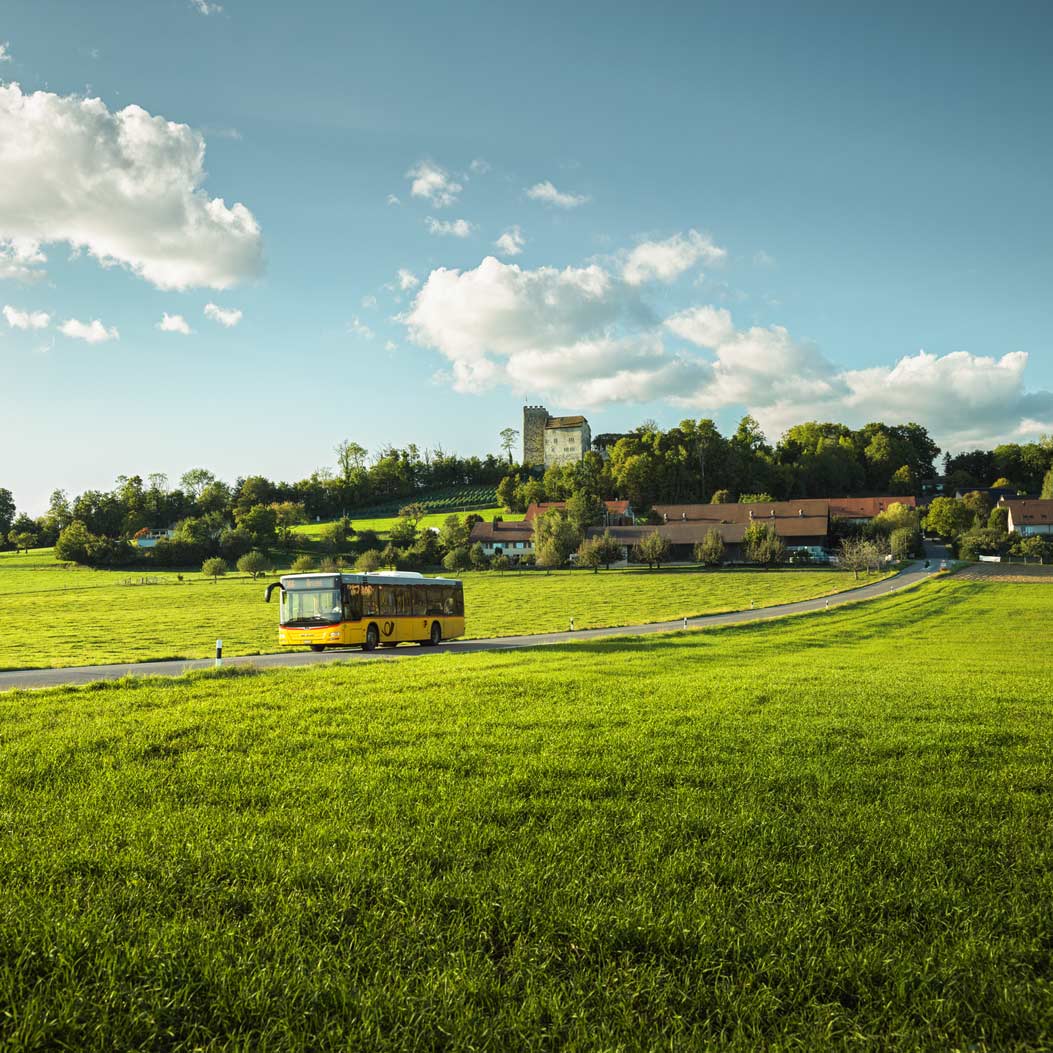 Habsburg and Wildegg castle tour