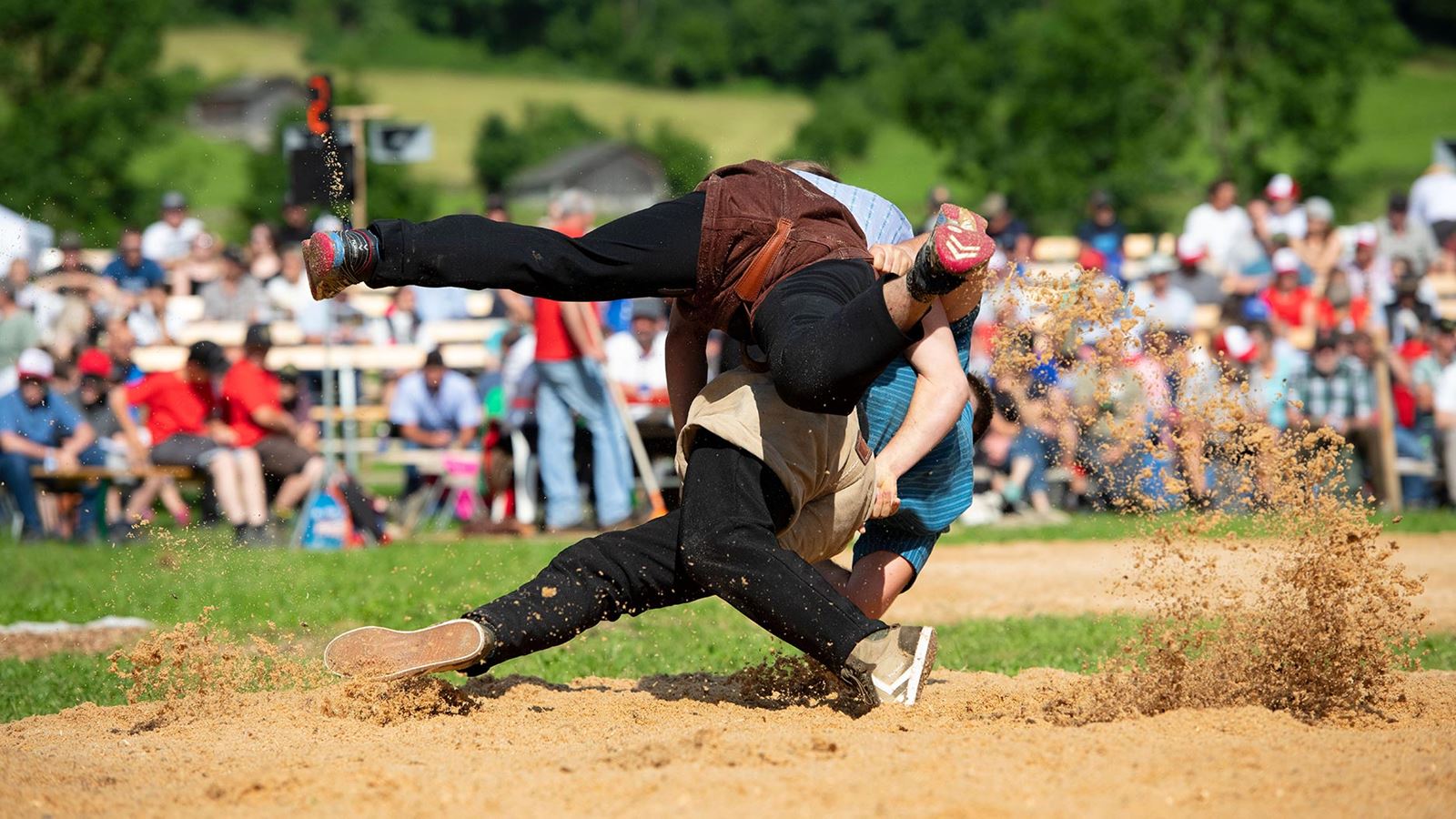 Zwei Schwinger im Sägemehl